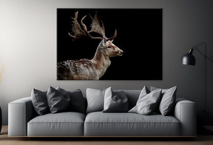 Male Fallow Deer on Black Background Wall Art Decor 100% Australian Made - Bella Home Decor