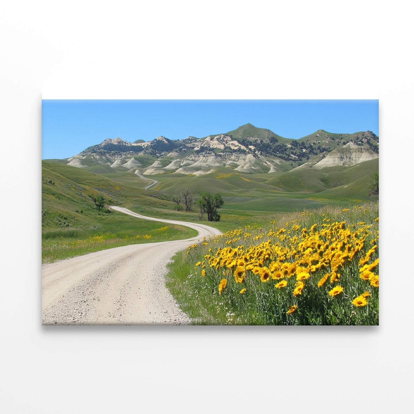 Field Of  Yellow Flowers, Mountains & Road Print 100% Australian Made - Bella Home Decor