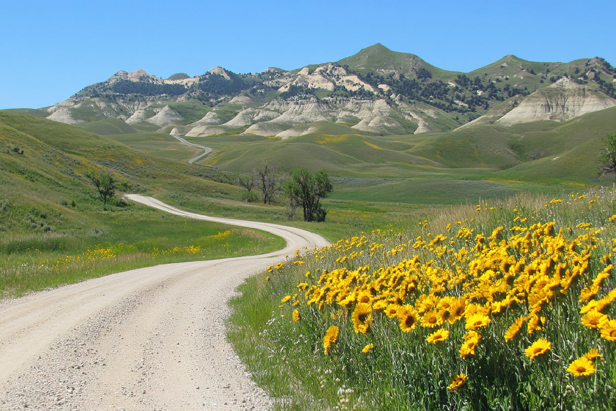 Field Of  Yellow Flowers, Mountains & Road Home Decor Premium Quality Poster Print Choose Your Sizes