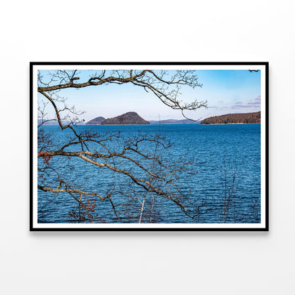 View of a Tree with a Lake & Mountains Home Decor Premium Quality Poster Print Choose Your Sizes