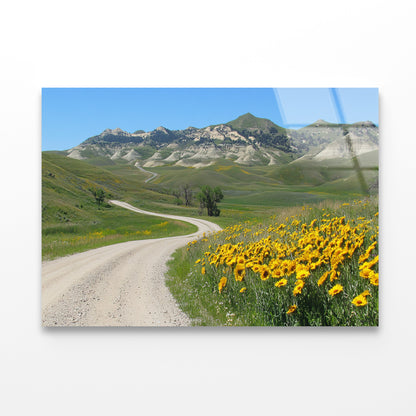 Field Of Yellow Flowers, Mountains & Road Acrylic Glass Print Tempered Glass Wall Art 100% Made in Australia Ready to Hang - Bella Home Decor