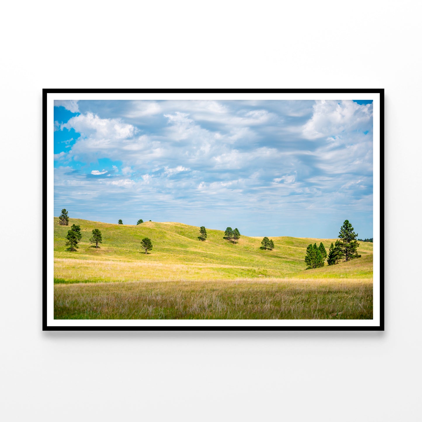 View of Open Grassland in South Dakota, USA Home Decor Premium Quality Poster Print Choose Your Sizes