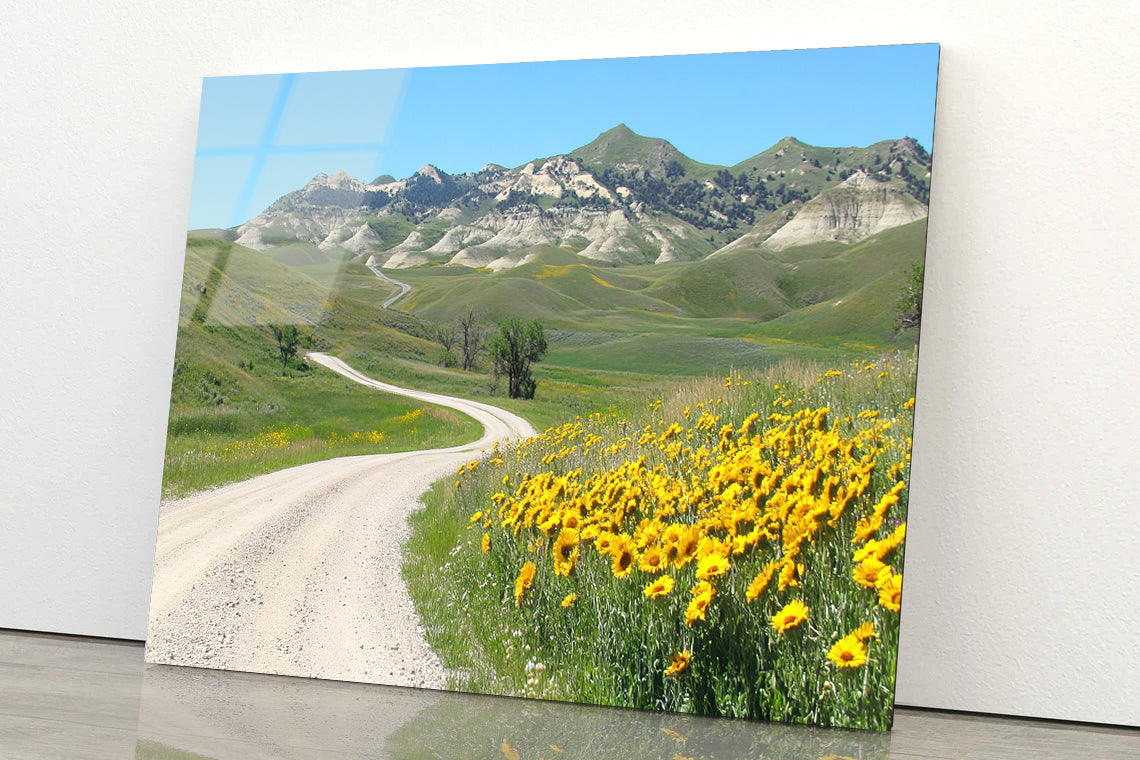 Field Of Yellow Flowers, Mountains & Road Acrylic Glass Print Tempered Glass Wall Art 100% Made in Australia Ready to Hang - Bella Home Decor