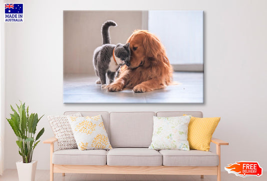 Lovely Cat and Golden Retriever Wall Art Decor 100% Australian Made