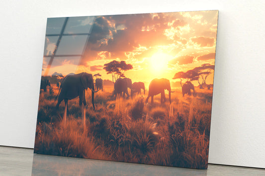 Herd of Elephants Walking Acrylic Glass Print Tempered Glass Wall Art 100% Made in Australia Ready to Hang - Bella Home Decor