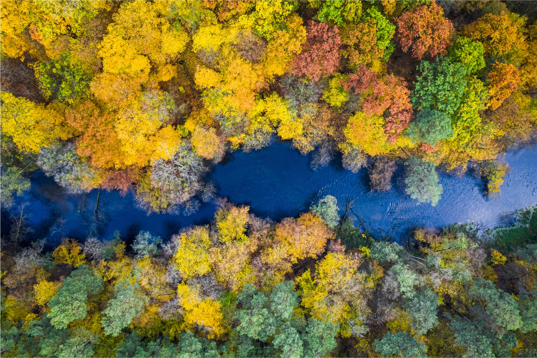 Autumn Forest & River Top View Glass Framed Wall Art, Ready to Hang Quality Print