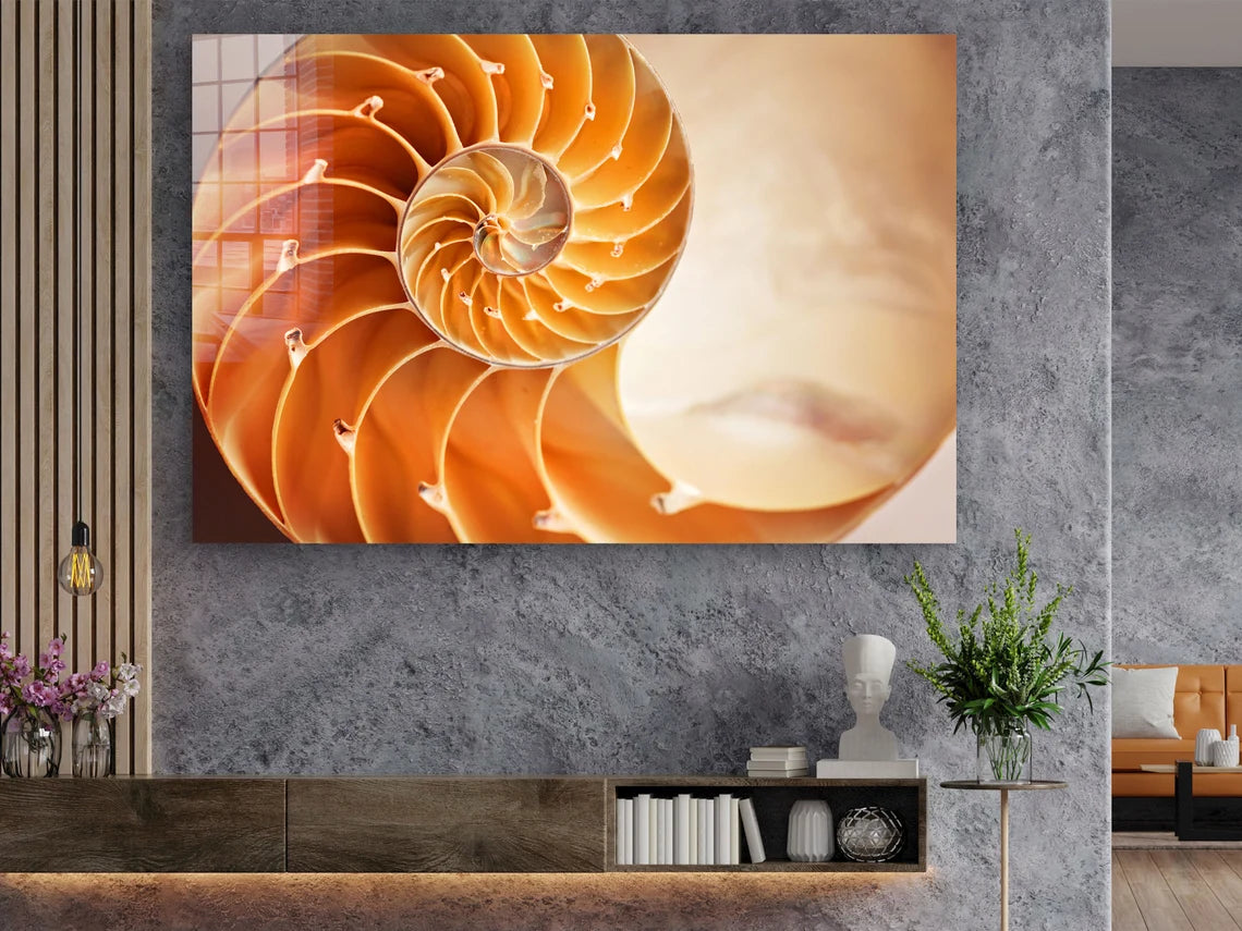 Golden Ratio Sea Shell UV Direct Aluminum Print Australian Made Quality