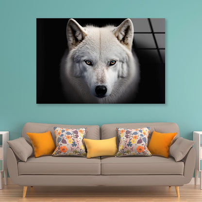 White Wolf with Blue Eyes Looking at The Camera Acrylic Glass Print Tempered Glass Wall Art 100% Made in Australia Ready to Hang