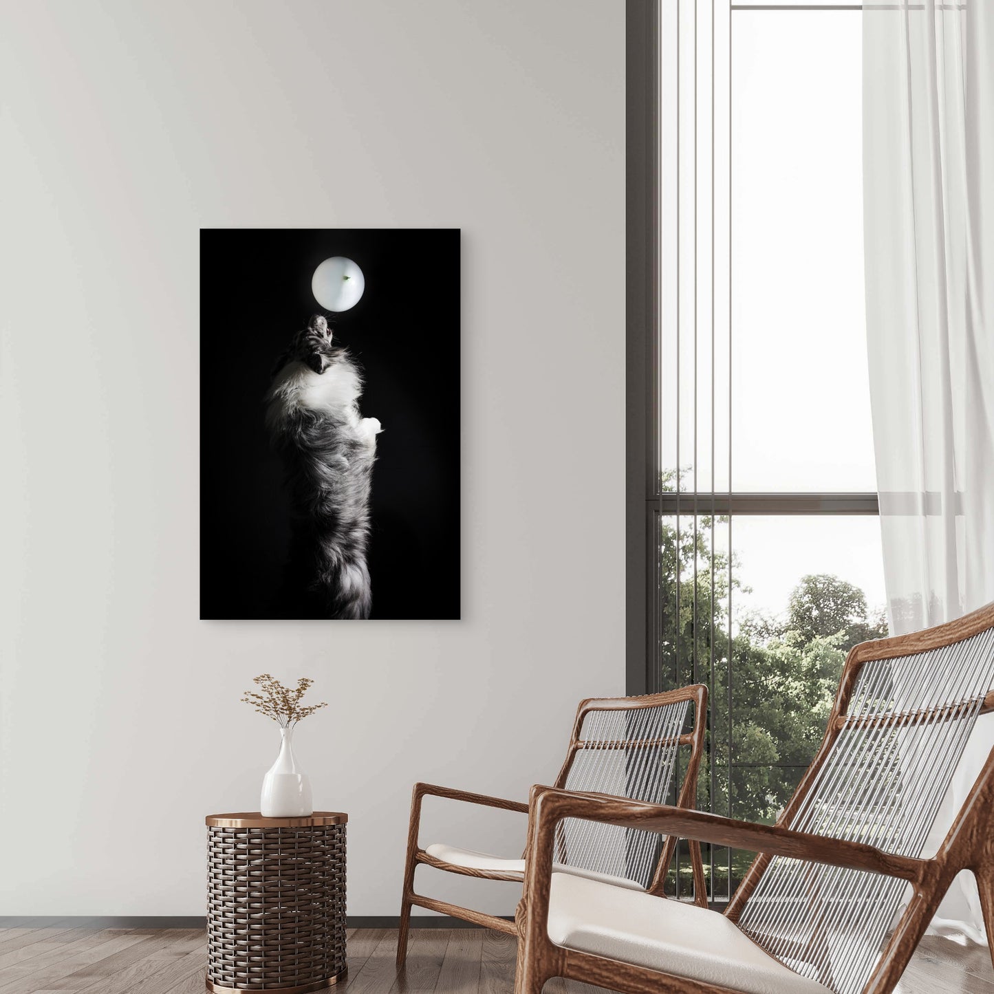 Portrait Cute Border Collie Dog 40x60cm Metal Print Ready to Hang