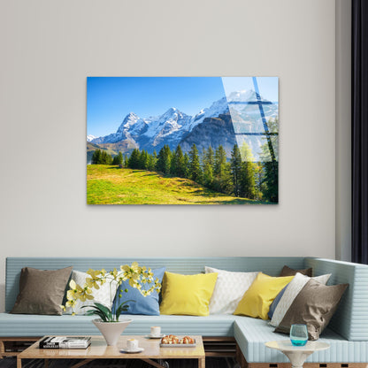 Snowy Alps Summit Meadow Pine Forest Acrylic Glass Printing Wall Art Australian Made Quality