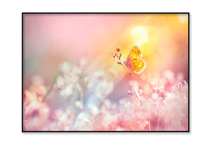 Golden Butterfly Glows in The Sun at Sunset Home Decor Premium Quality Poster Print Choose Your Sizes