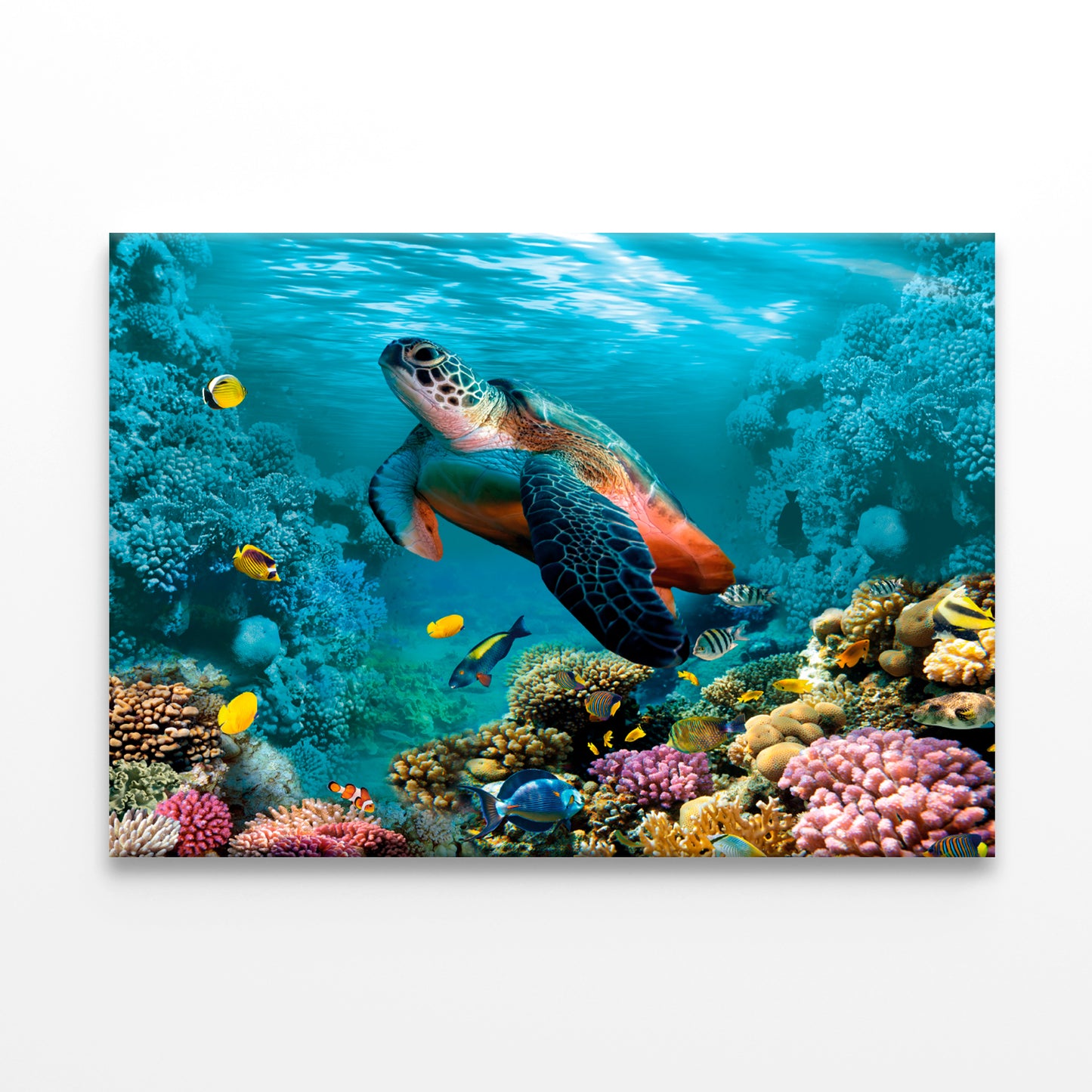 Underwater World with Turtle Wall Art Decor 100% Australian Made - Bella Home Decor