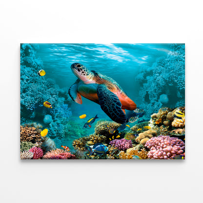 Underwater World with Turtle Wall Art Decor 100% Australian Made - Bella Home Decor