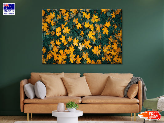 Close Up Of a Field Of Yellow Leaves Print 100% Australian Made - Bella Home Decor