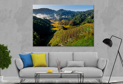 Dura, Ziro: Kiwi Garden & Island Wall Art Decor 100% Australian Made