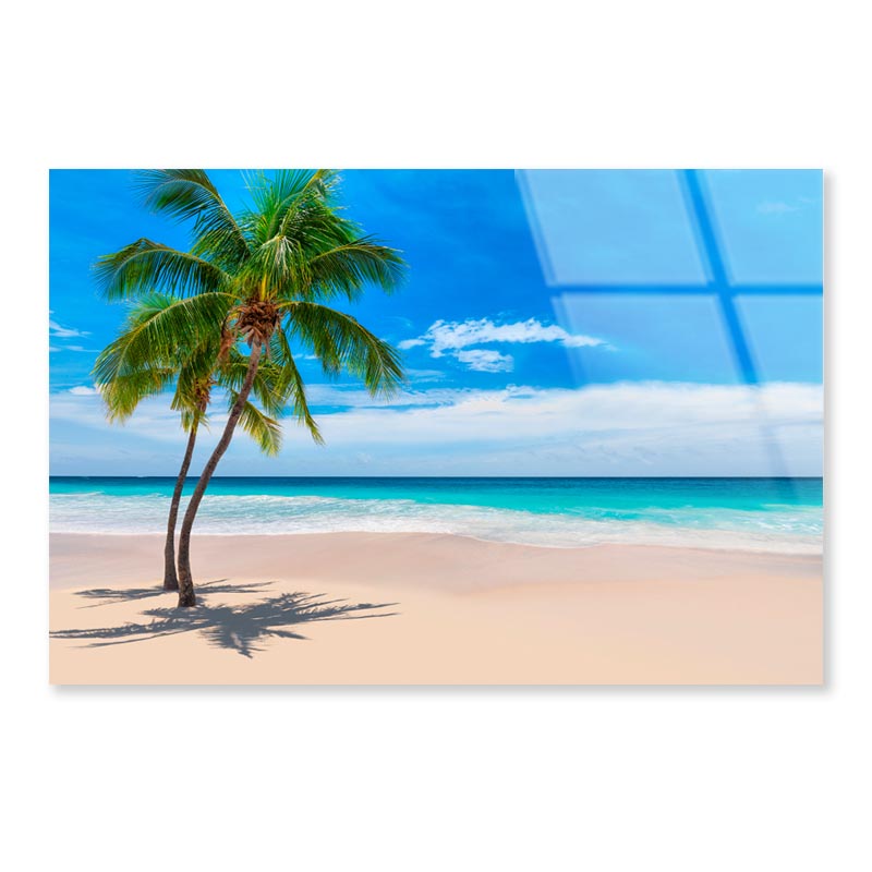 Sunny Sand Beach with Palm Acrylic Glass Print Tempered Glass Wall Art 100% Made in Australia Ready to Hang - Bella Home Decor