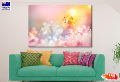 Golden Butterfly Glows in The Sun at Sunset Wall Art Decor 100% Australian Made