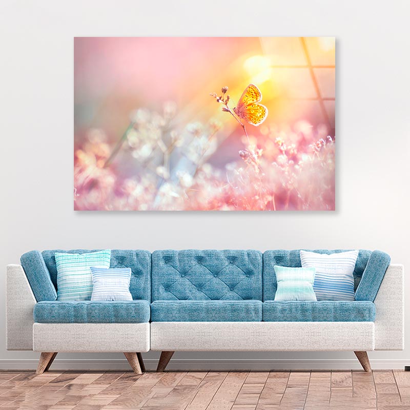 Golden Butterfly Glows in The Sun at Sunset Acrylic Glass Print Tempered Glass Wall Art 100% Made in Australia Ready to Hang