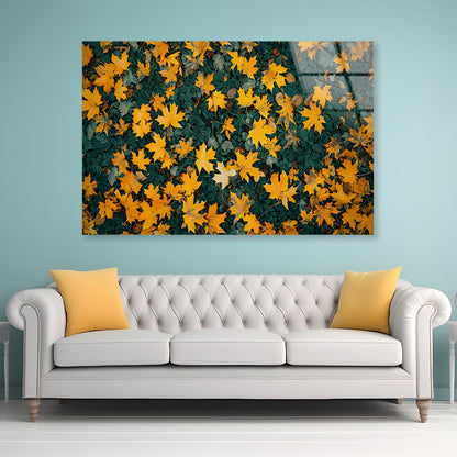 Close Up Of a Field Of Yellow Leaves Acrylic Glass Print Tempered Glass Wall Art 100% Made in Australia Ready to Hang - Bella Home Decor