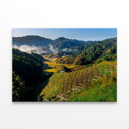 Dura, Ziro: Kiwi Garden & Island Wall Art Decor 100% Australian Made