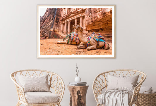 Camels & Carved into The Rock at Petra, Jordan Home Decor Premium Quality Poster Print Choose Your Sizes