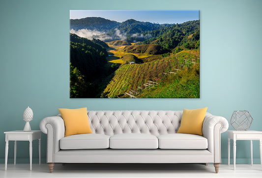 Dura, Ziro: Kiwi Garden & Island Wall Art Decor 100% Australian Made