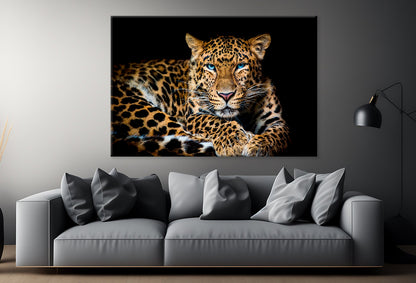 North China Leopard in Zoo Wall Art Decor 100% Australian Made - Bella Home Decor