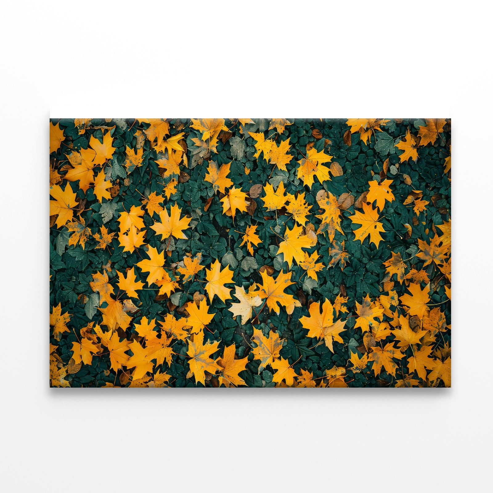 Close Up Of a Field Of Yellow Leaves Print 100% Australian Made - Bella Home Decor