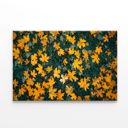 Close Up Of a Field Of Yellow Leaves Print 100% Australian Made - Bella Home Decor