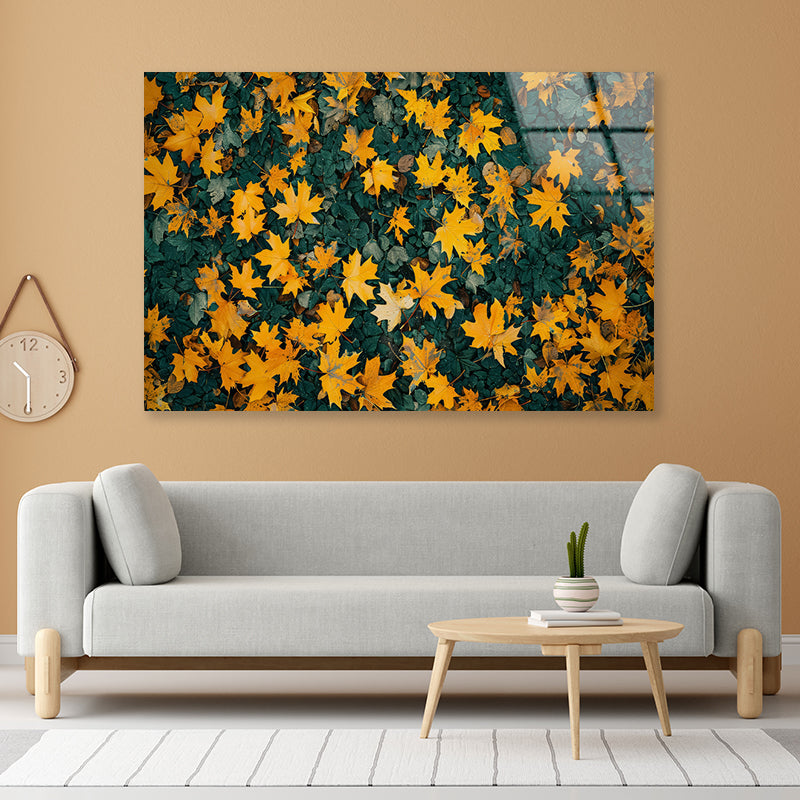 Close Up Of a Field Of Yellow Leaves Acrylic Glass Print Tempered Glass Wall Art 100% Made in Australia Ready to Hang - Bella Home Decor