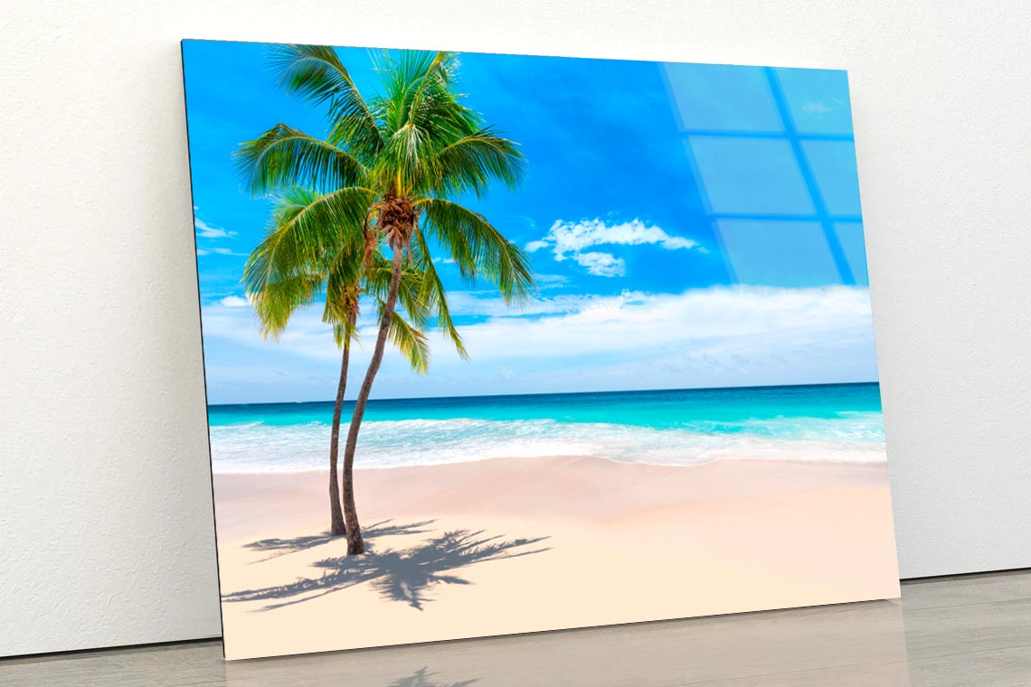 Sunny Sand Beach with Palm Acrylic Glass Print Tempered Glass Wall Art 100% Made in Australia Ready to Hang - Bella Home Decor