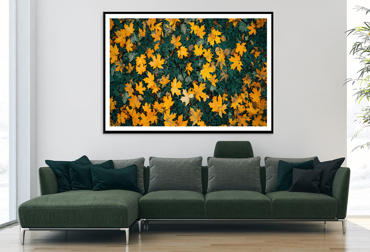 Close Up Of a Field Of Yellow Leaves Home Decor Premium Quality Poster Print Choose Your Sizes - Bella Home Decor