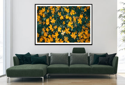 Close Up Of a Field Of Yellow Leaves Home Decor Premium Quality Poster Print Choose Your Sizes - Bella Home Decor