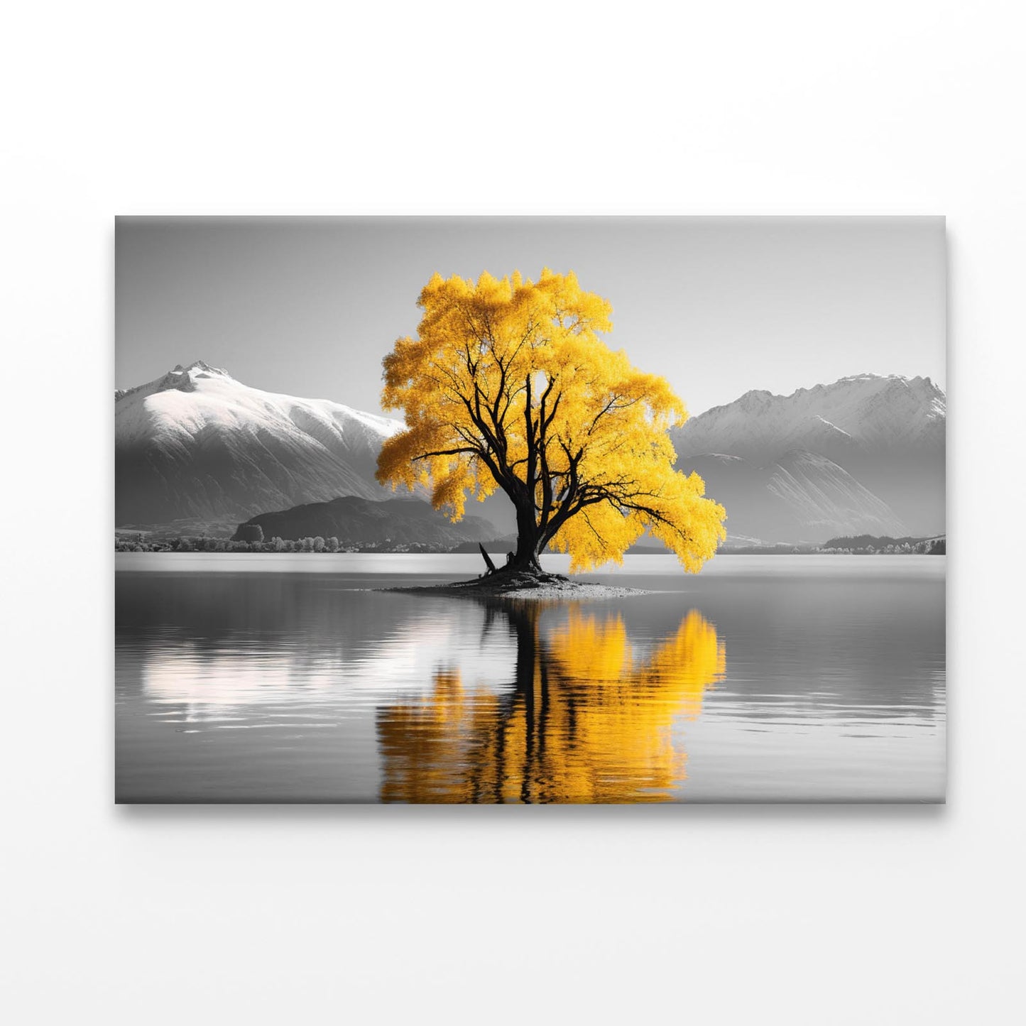 Wanaka Tree In Lake Acrylic Glass Print Tempered Glass Wall Art 100% Made in Australia Ready to Hang