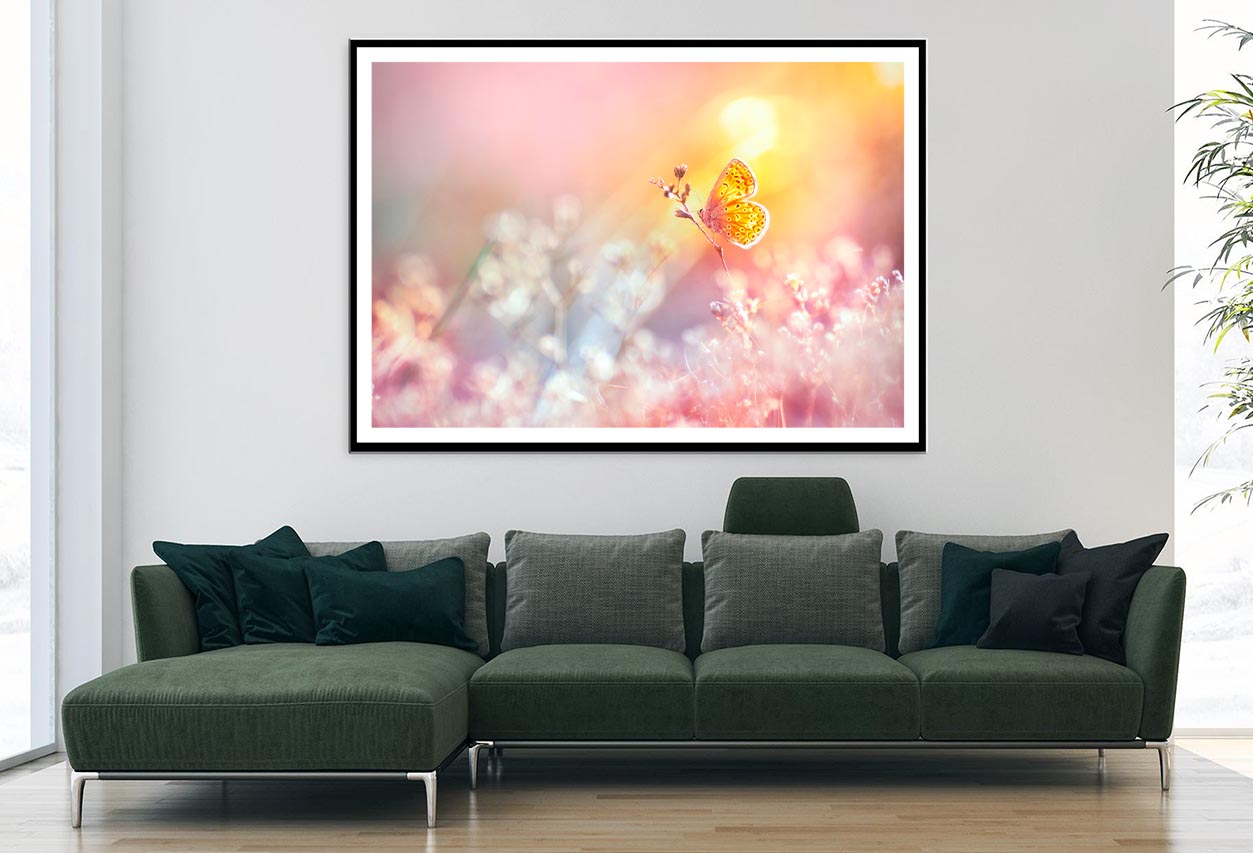 Golden Butterfly Glows in The Sun at Sunset Home Decor Premium Quality Poster Print Choose Your Sizes