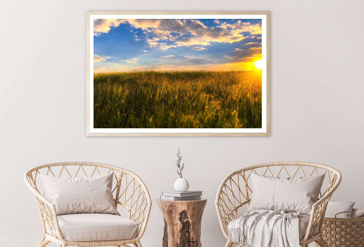 A Field Of Grass with the Sun Setting Home Decor Premium Quality Poster Print Choose Your Sizes