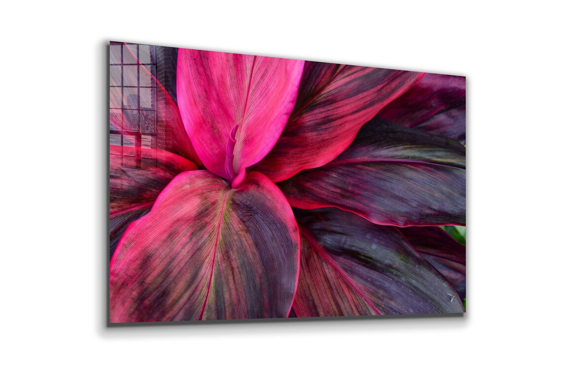 Purple Pink Leaves View UV Direct Aluminum Print Australian Made Quality