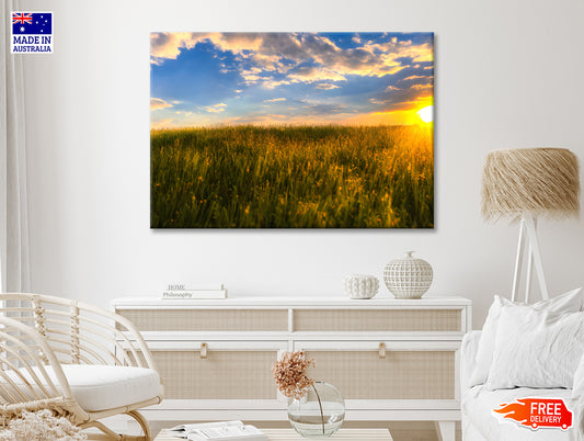 A Field Of Grass with the Sun Setting Print 100% Australian Made