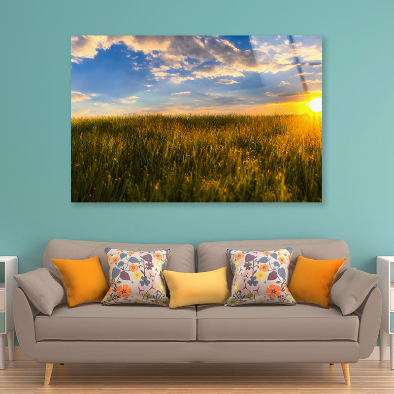 A Field Of Grass with the Sun Setting Acrylic Glass Print Tempered Glass Wall Art 100% Made in Australia Ready to Hang