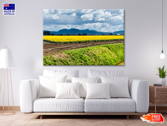 Field Of Yellow Flowers with Sky Print 100% Australian Made - Bella Home Decor