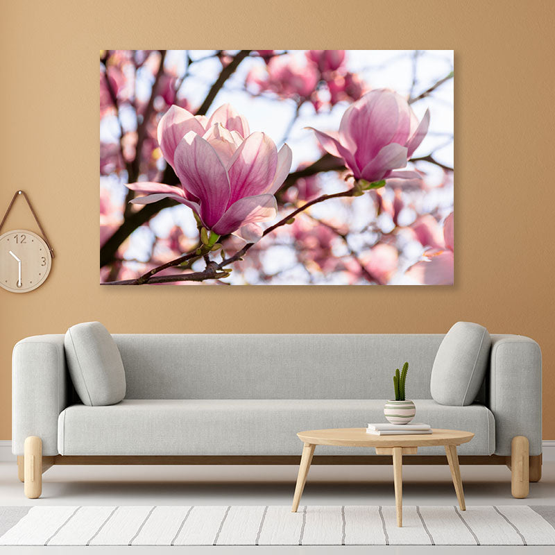 Pink Flower Blossom Springtime Acrylic Glass Print Tempered Glass Wall Art 100% Made in Australia Ready to Hang