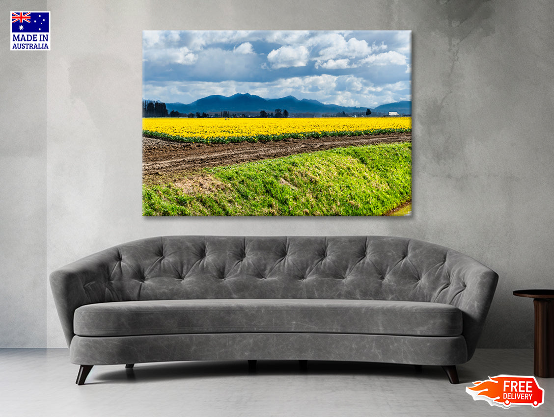 Field Of Yellow Flowers with Sky Print 100% Australian Made - Bella Home Decor