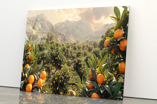 Oranges Growing, Mountain and the Sky Acrylic Glass Print Tempered Glass Wall Art 100% Made in Australia Ready to Hang - Bella Home Decor