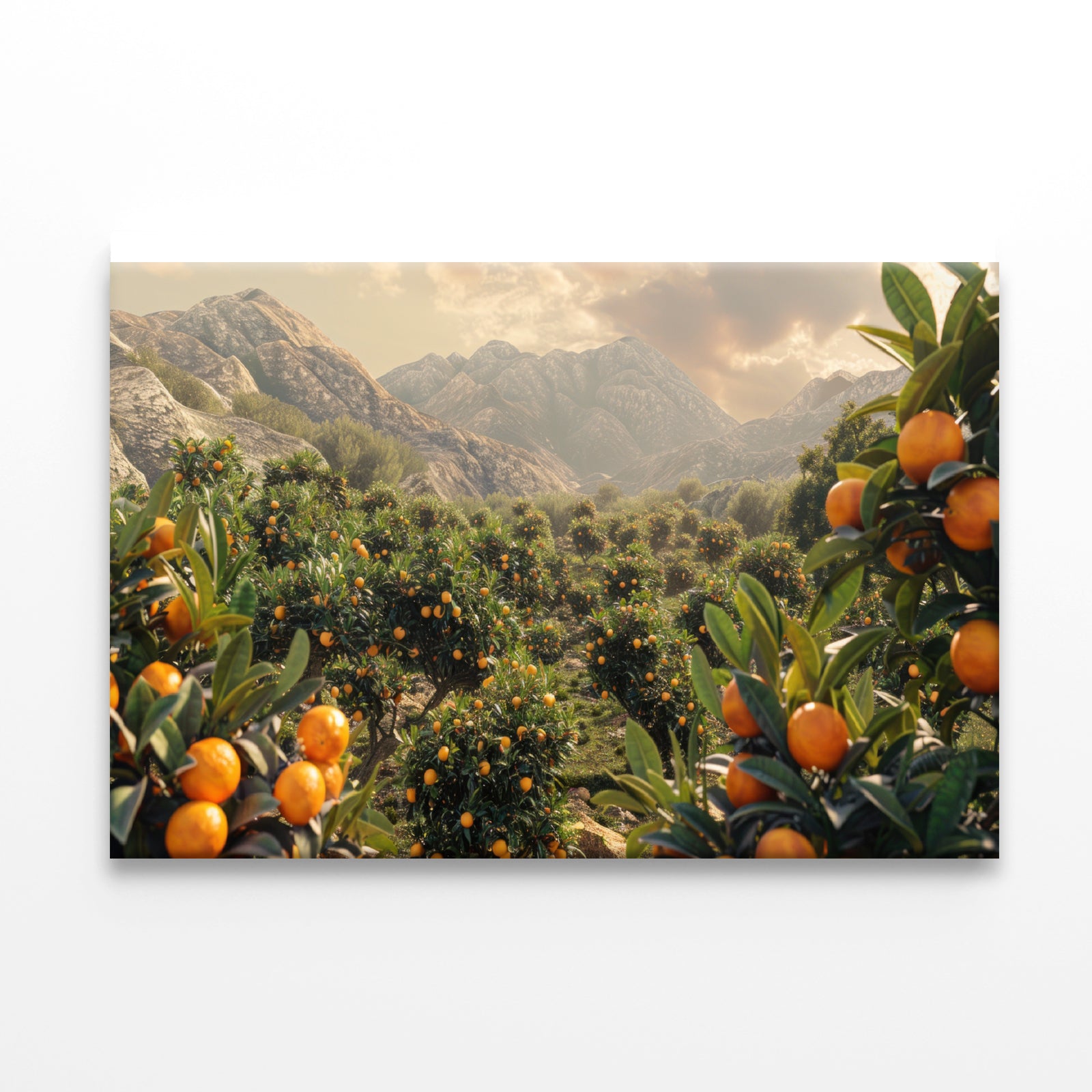 Oranges Growing, Mountain and the Sky Print 100% Australian Made - Bella Home Decor