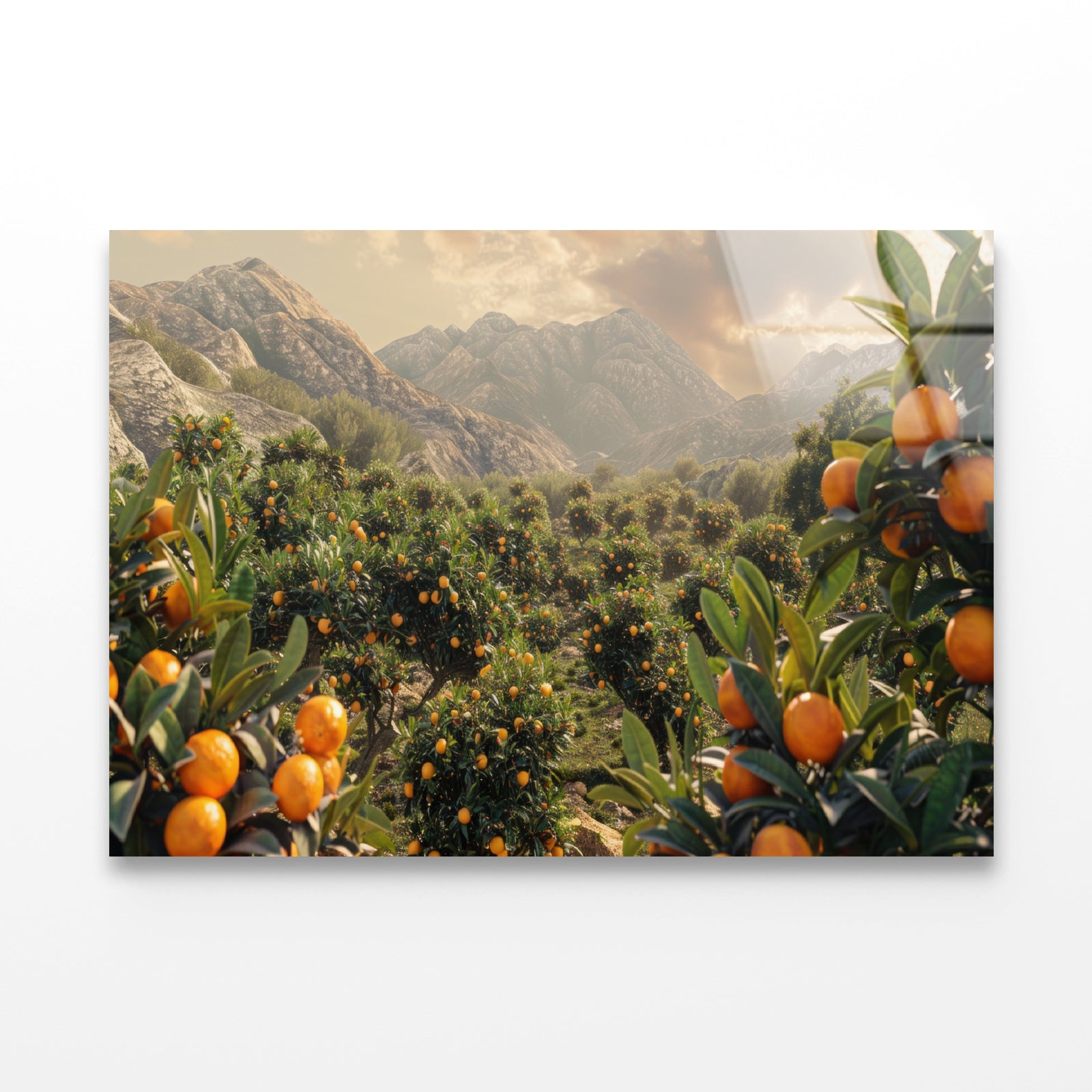 Oranges Growing, Mountain and the Sky Acrylic Glass Print Tempered Glass Wall Art 100% Made in Australia Ready to Hang - Bella Home Decor