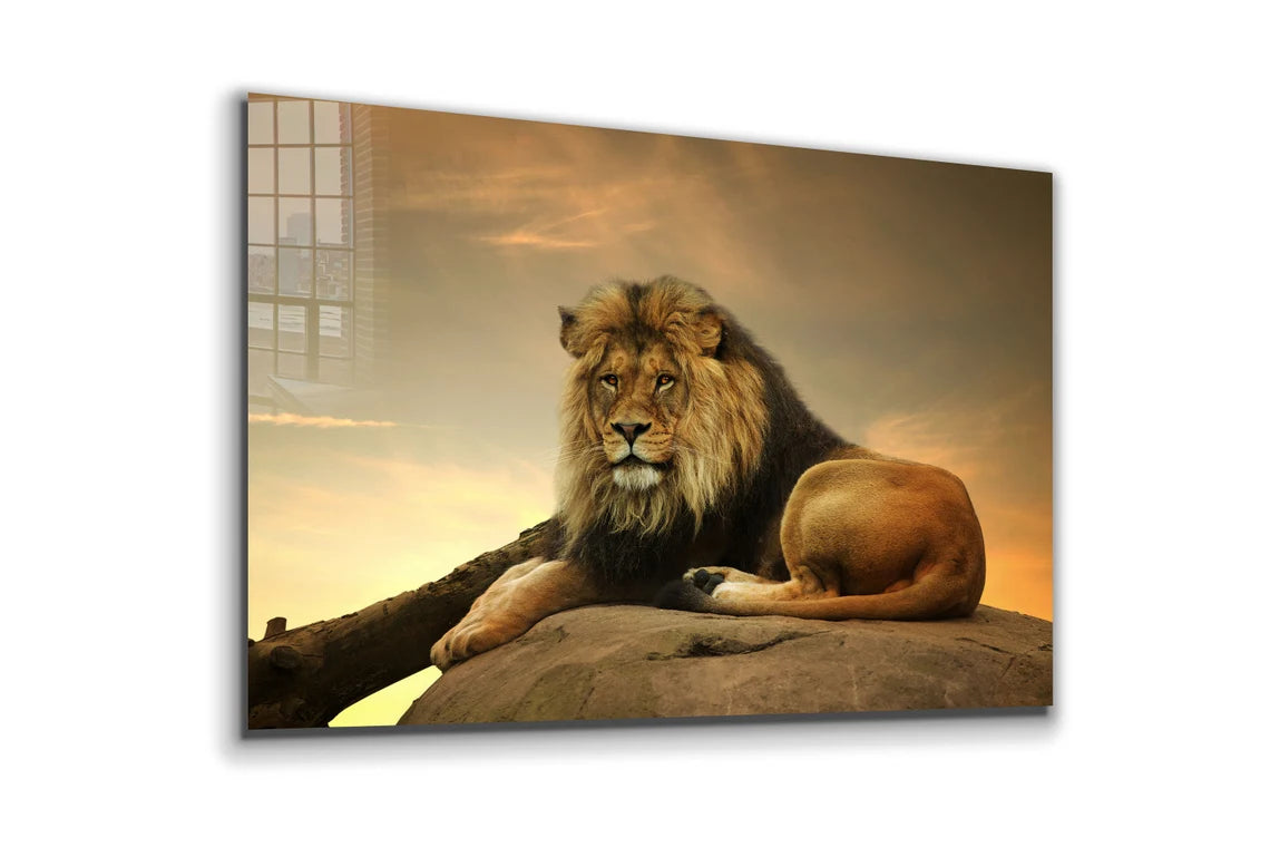 Lion on Rock Sunset Sky UV Direct Aluminum Print Australian Made Quality