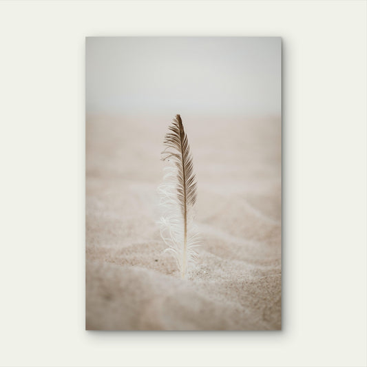 Feather Sand Illustration 60x90cm Metal Print Ready to Hang