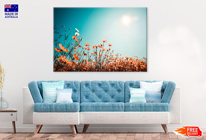 Cosmos Flower Field On Sky Spring Print 100% Australian Made