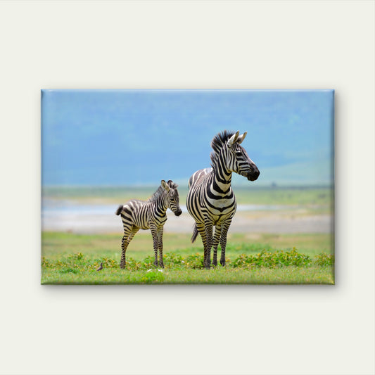 Zebra With Young Foal in African Savanna Wall Art Decor 100% Australian Made