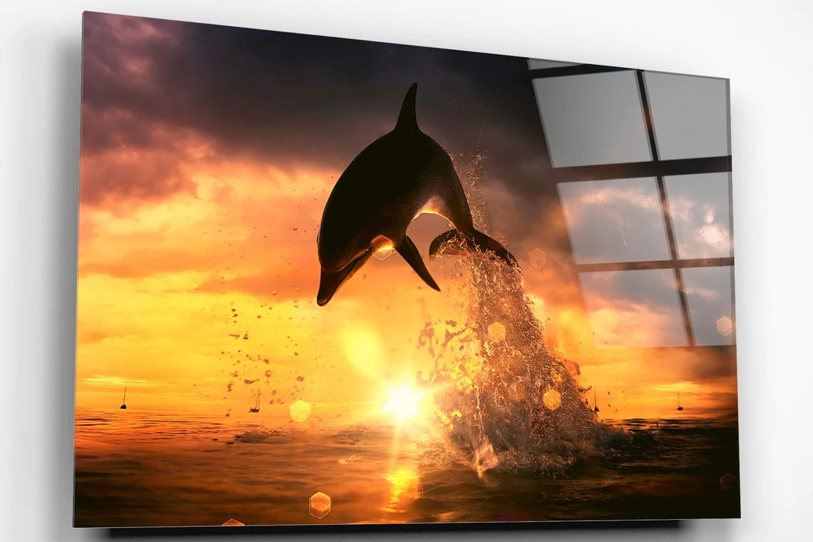 Dolphin With Sunlight Acrylic Glass Print Tempered Glass Wall Art 100% Made in Australia Ready to Hang